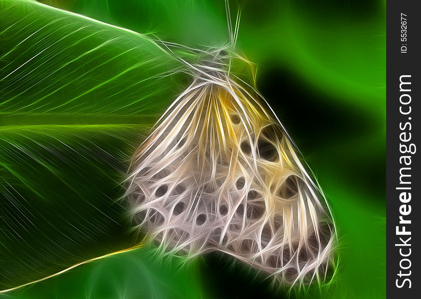 A colorful fractal - illustration of a abstract butterfly. A colorful fractal - illustration of a abstract butterfly
