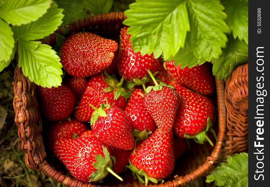 Fresh strawberries in a basket on grass