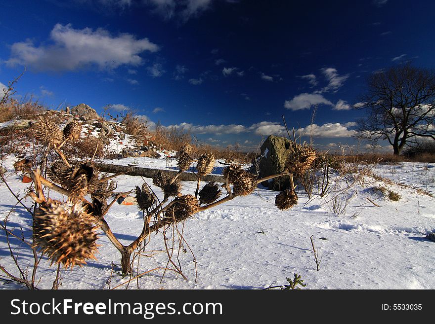 Sunny winter day at Baltic sea