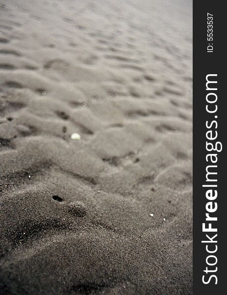 A sandy beach in Washingtons Anacortes Islands. A sandy beach in Washingtons Anacortes Islands.