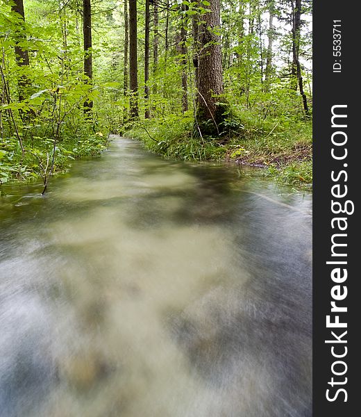 Forest creek flowing water long exposure blurred