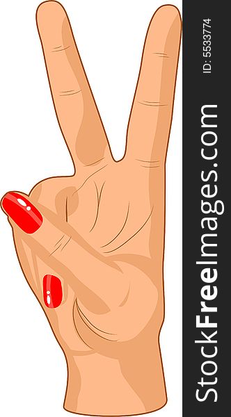 Beautiful female hand. Vector illustration. Beautiful female hand. Vector illustration.