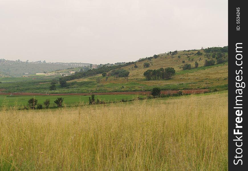 I took this picture at Krugersdorp Nature Reserve ,South Africa. I took this picture at Krugersdorp Nature Reserve ,South Africa.