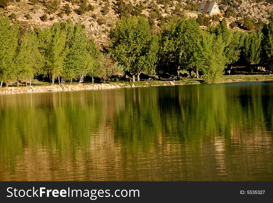 Trees reflecting on calm waters. Trees reflecting on calm waters