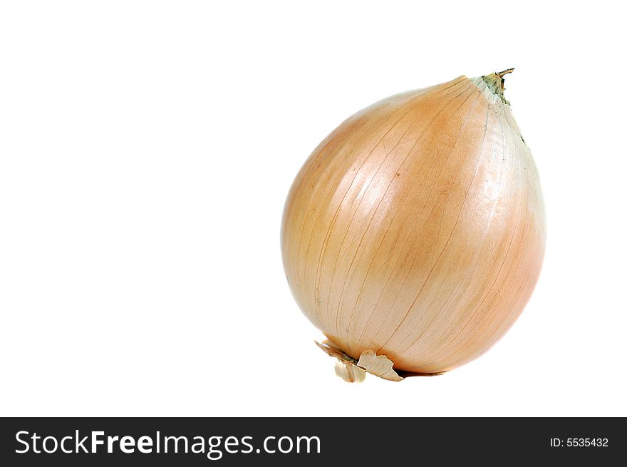 A single onion isolated on a white background