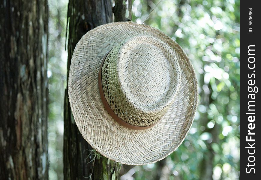 Photo of a straw hat hanging in a tree right side