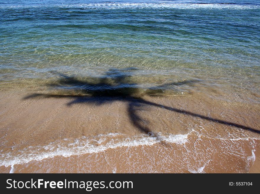 Palmtree shadow in the water and sand on Maui