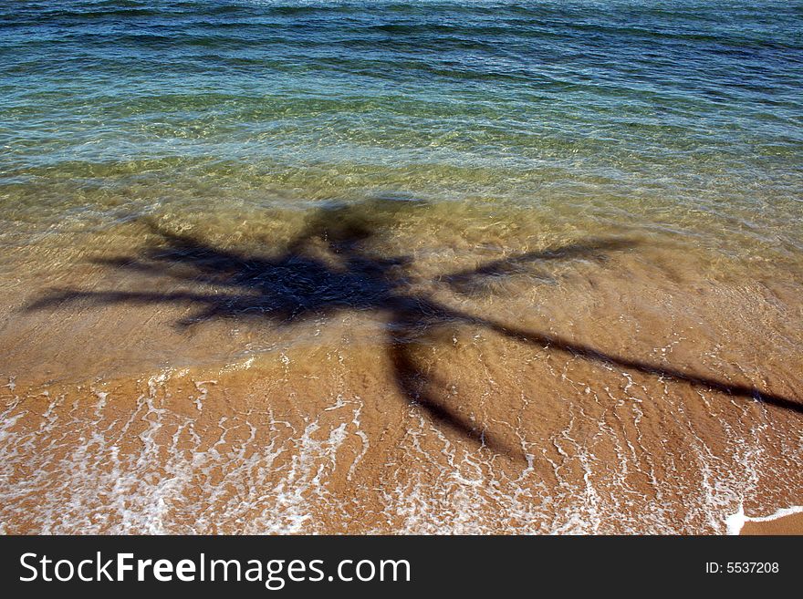 Palmtree shadow in the water and sand on Maui. Palmtree shadow in the water and sand on Maui