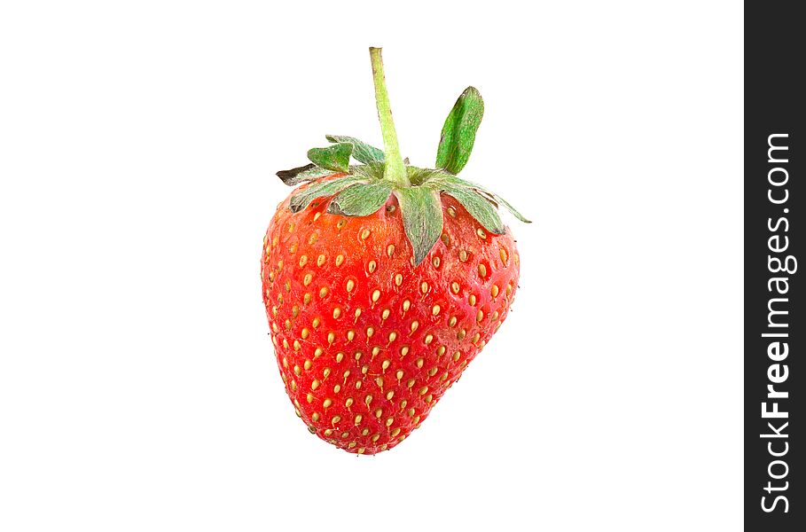 Single strawberry fruit with stem isolated on a white background