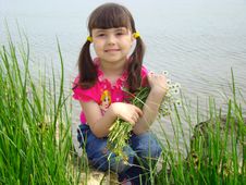 Portrait Of Girl With A Bouquet. Stock Images Portrait Of Girl With A Bouquet. Stock Images