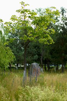 Stone Boulder And Tree Stock Image Stone Boulder And Tree Stock Image