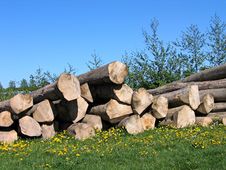 Pile Of Wood Logs Royalty Free Stock Photo Pile Of Wood Logs Royalty Free Stock Photo