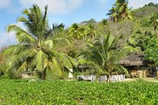 Tropical Bar Royalty Free Stock Photos Tropical Bar Royalty Free Stock Photos