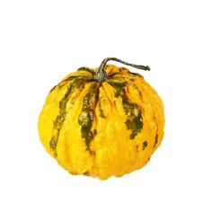 Pumpkin Royalty Free Stock Images Pumpkin Royalty Free Stock Images