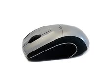 Computer Mouse Royalty Free Stock Image
