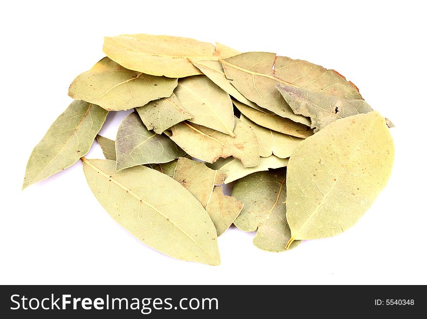 Series object on white - food - bay leaf