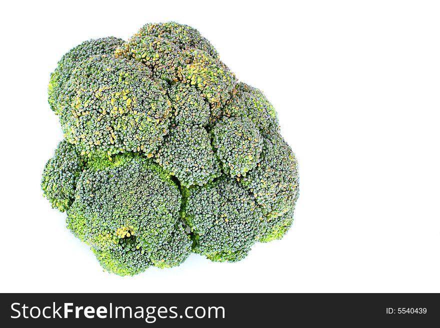 Close up view of the broccoli on white