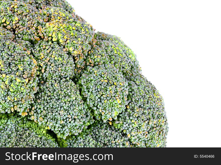 Close up view of the broccoli on white