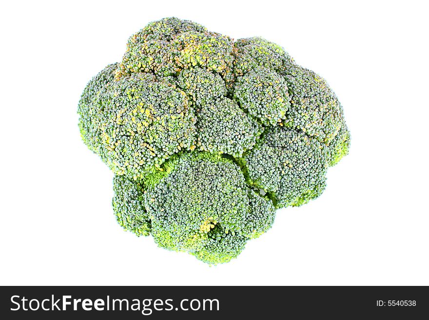 Close up view of the broccoli on white