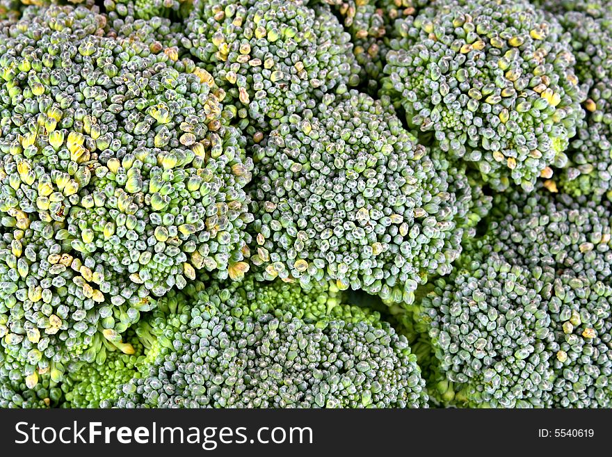 Close up view of the broccoli