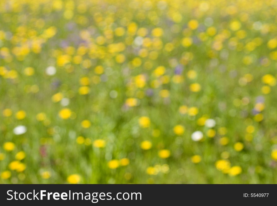 Abstract blured colourful meadow background