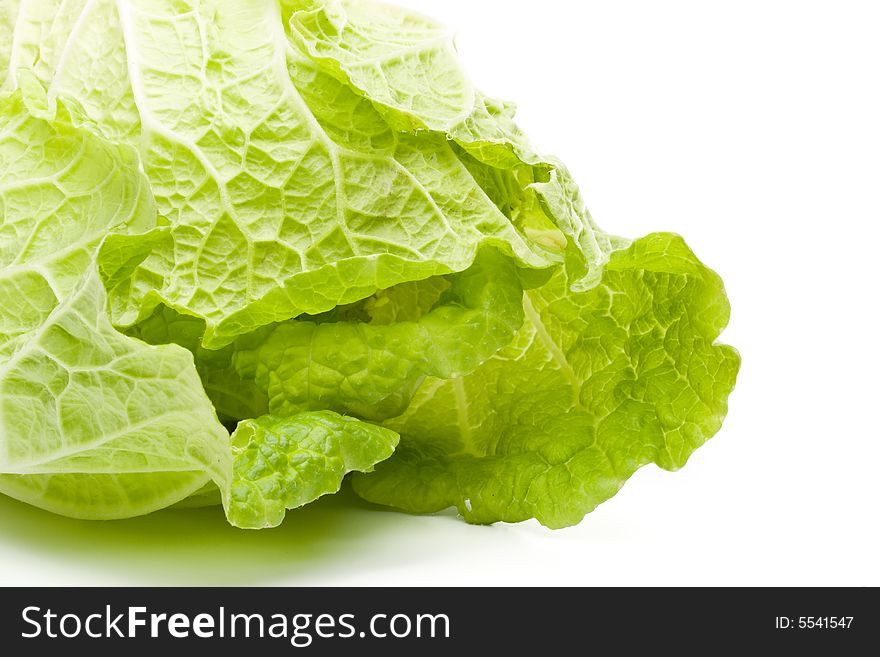 Fresh celery cabbage on a white background