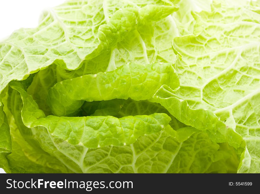 Fresh celery cabbage on a white background
