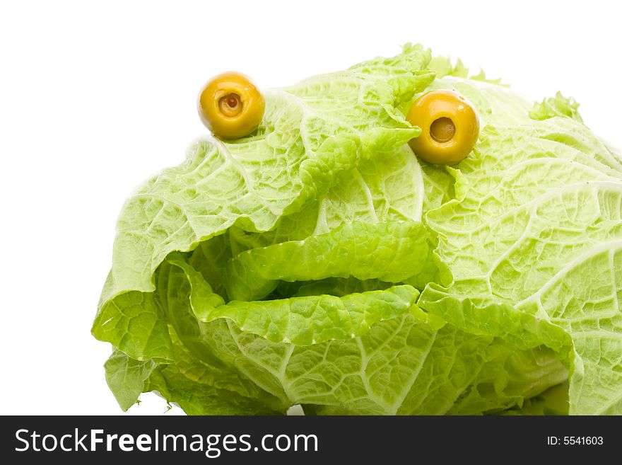 Fresh celery cabbage on a white background