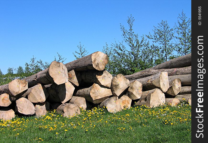 Pile of wood logs stacked outdoors