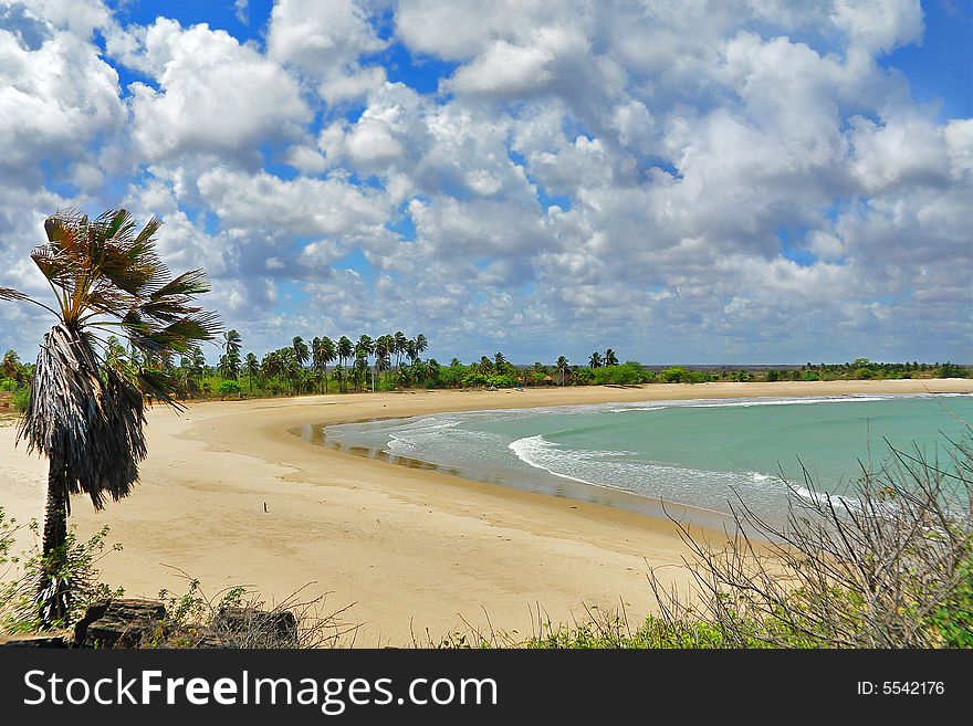 Tropical landscape bay view at Brazil. Tropical landscape bay view at Brazil