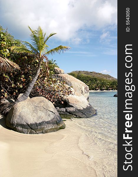 A small palm tree growing out of a granite boulder on a sandy beach. A small palm tree growing out of a granite boulder on a sandy beach.