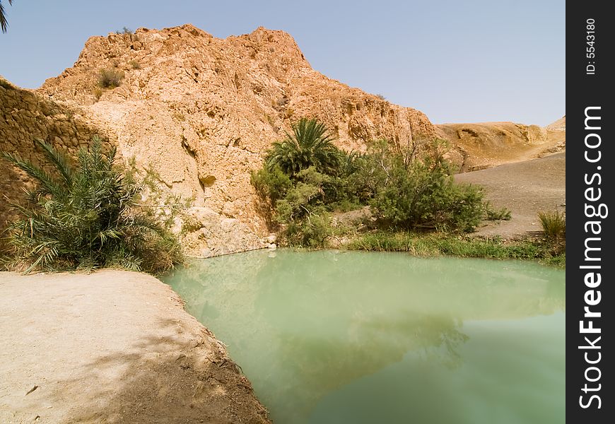 Water and Oasis on the desert