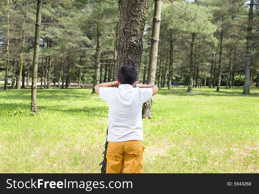 Young boy playing hide and seek, leaning against tree in park. Young boy playing hide and seek, leaning against tree in park.