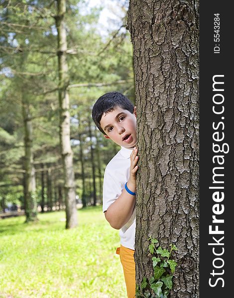 Portrait of young boy behind tree at park playing hide and seek. Portrait of young boy behind tree at park playing hide and seek