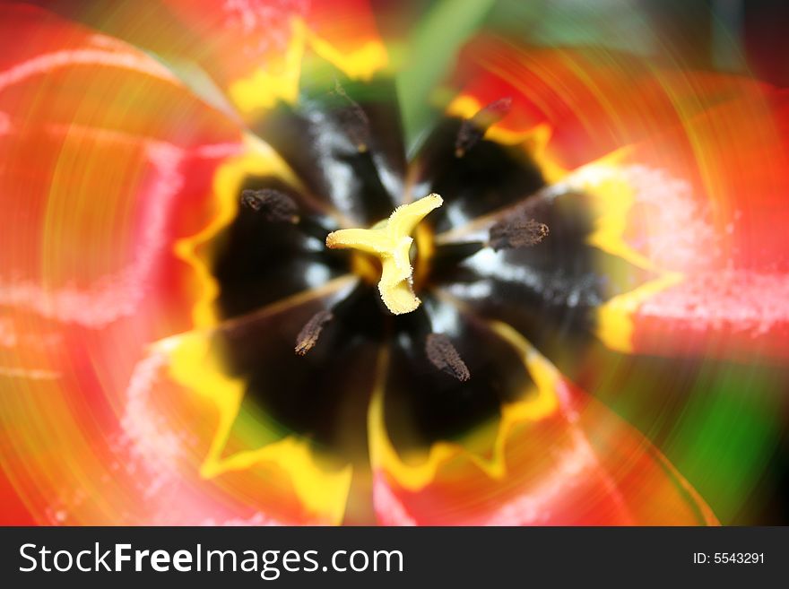 Fantastic flower with varicoloured texture in the manner of background abstract scene