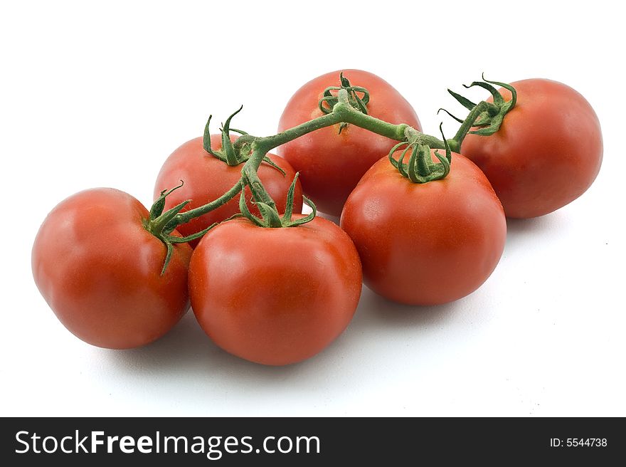 Tomatoes On Branch