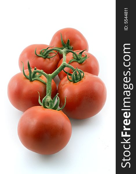 Tomatoes on branch isolated on white