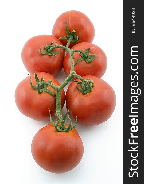 Tomatoes on branch isolated on white