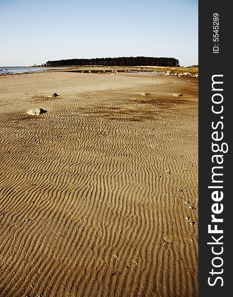 A photo of sandy waved beach with some stones and reed. A photo of sandy waved beach with some stones and reed.