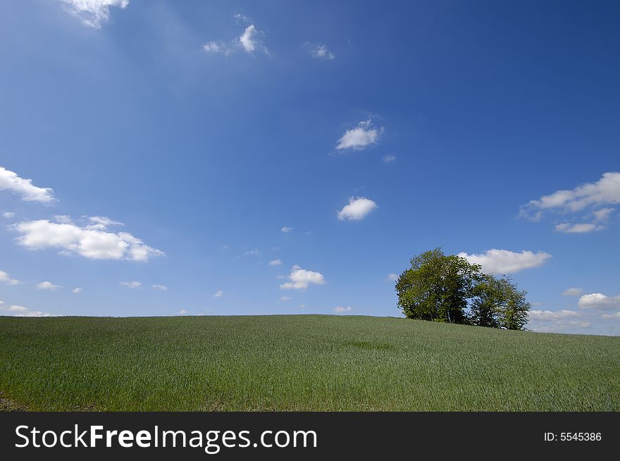 Landscape with a tree on a hill. The sky is blue with white clouds. Landscape with a tree on a hill. The sky is blue with white clouds.