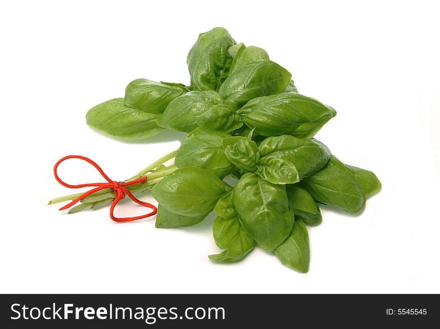 Bundle basil (herb) isolated on white. Bundle basil (herb) isolated on white