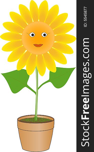 Funny sunflower with smiling face in pot. Funny sunflower with smiling face in pot
