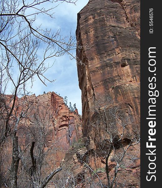 Red Rock Cliffs in Zion