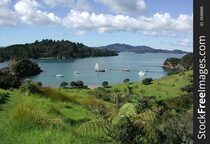 Remote anchorage near Nelson on South Island. Remote anchorage near Nelson on South Island.