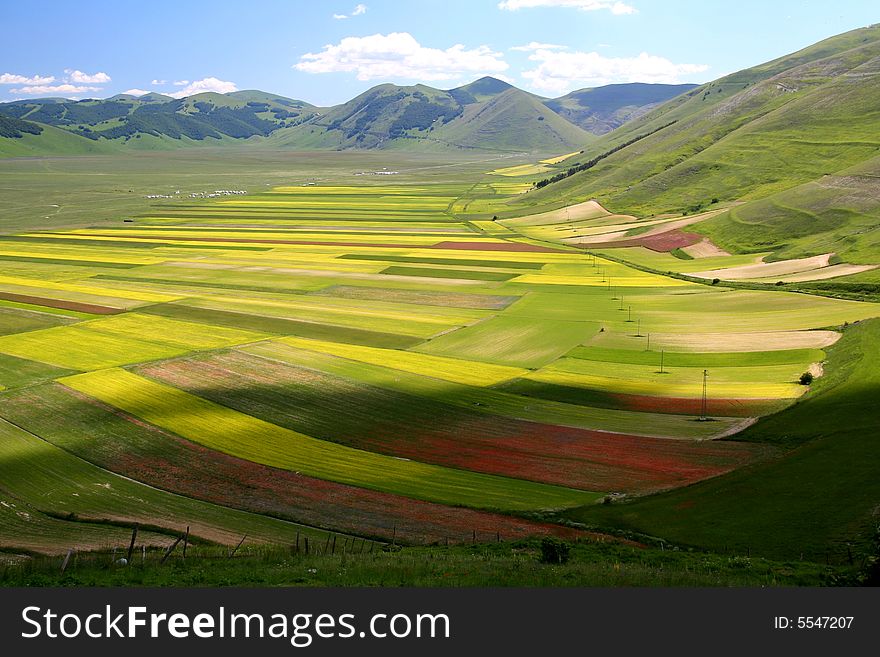 Castelluccio summer landscape