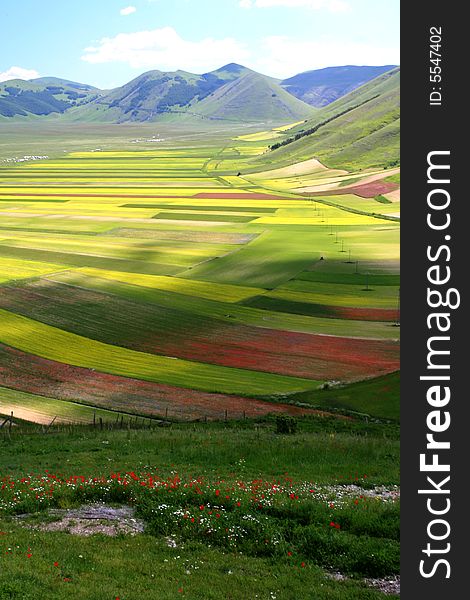 Summer landscape captured near Castelluccio di Norcia - Umbria - Italy. Summer landscape captured near Castelluccio di Norcia - Umbria - Italy