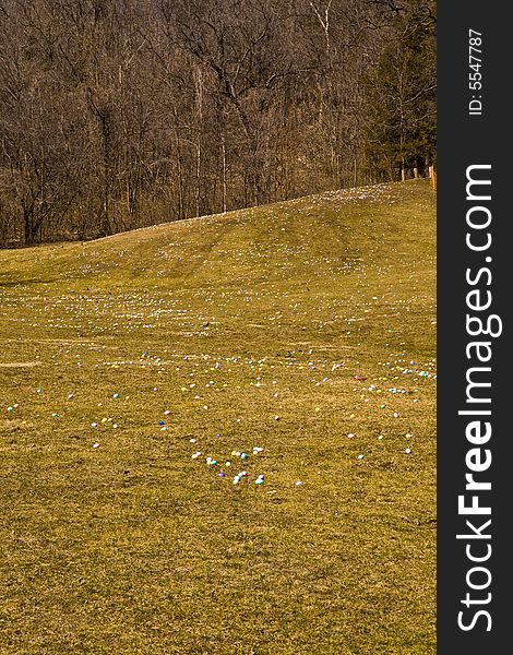 Field filled with Easter Eggs. Field filled with Easter Eggs