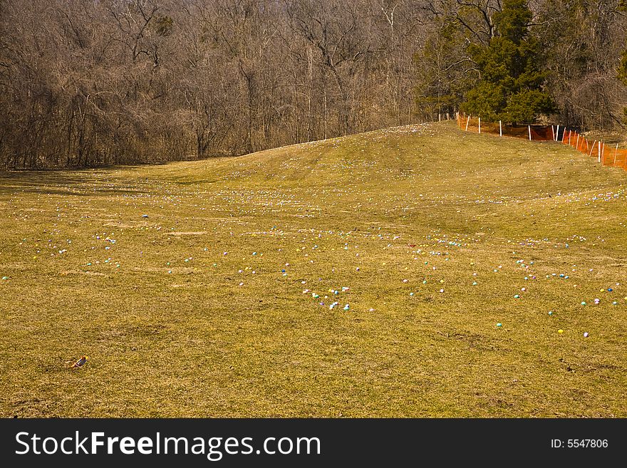 Field filled with colored eggs. Field filled with colored eggs