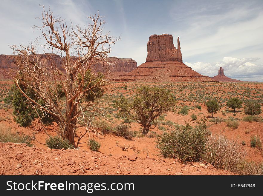 View of famous rock formations in Monument Valley. Arizona/Utah State line. USA