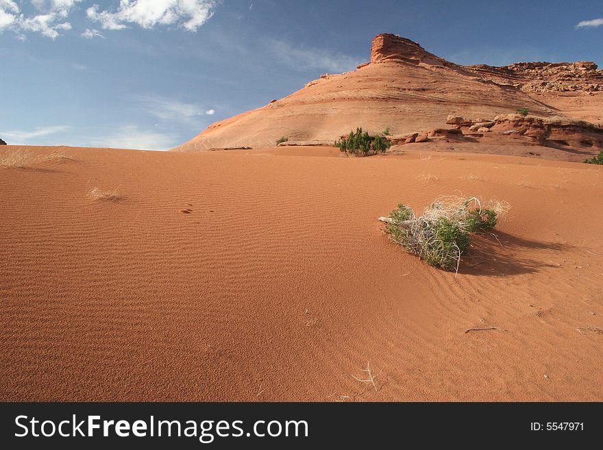 Desert Scenic
